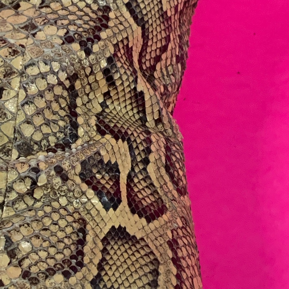 snake skin GORGEOUS BIONDINI - Picture 8 of 16